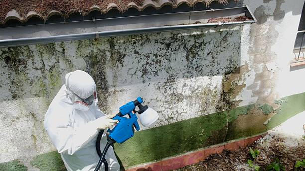 Top rated local Black Mold Remediation specialists in Onley, VA
